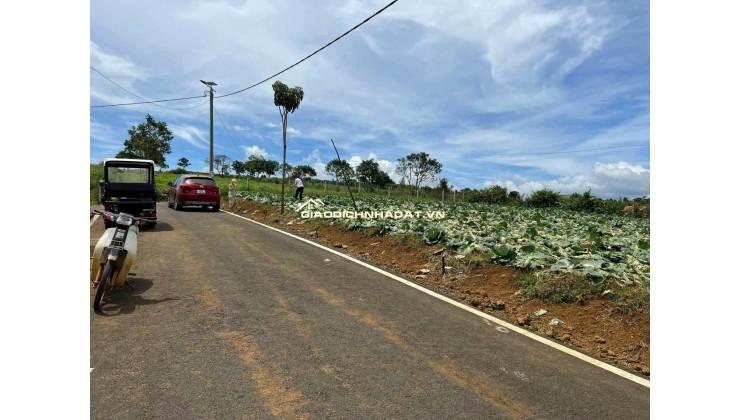 [HOT] Duy nhất còn 1 lô tại NaLi Chill - Homestay and BBQ giá bán chỉ 850TR